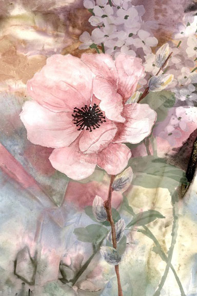 Rosy Bloom Variante 1 | 13x18 cm | Premium-Papier