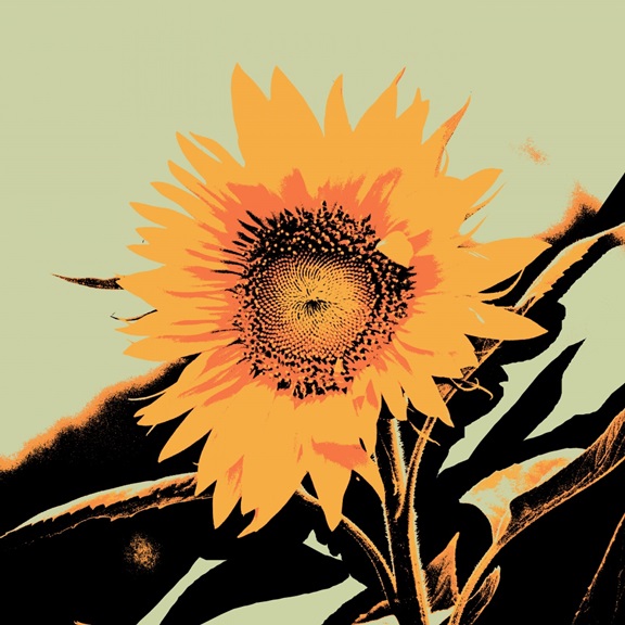 Sunflower Effect No. 1 Variante 1 | 60x60 cm | Premium-Papier