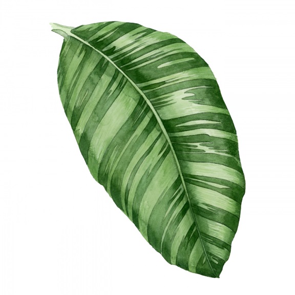 Emerald Leaves No. 1 Variante 1 | 60x60 cm | Premium-Papier