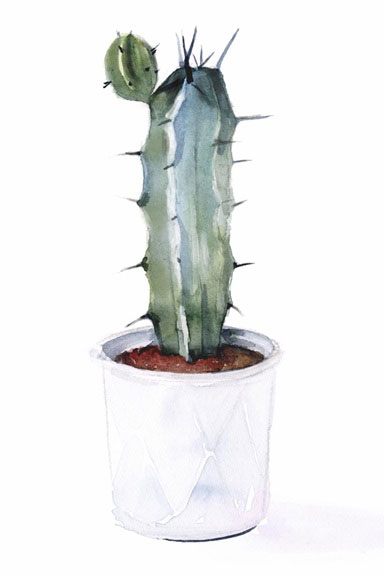 Cute Cacti No. 1 Variante 1 | 13x18 cm | Premium-Papier