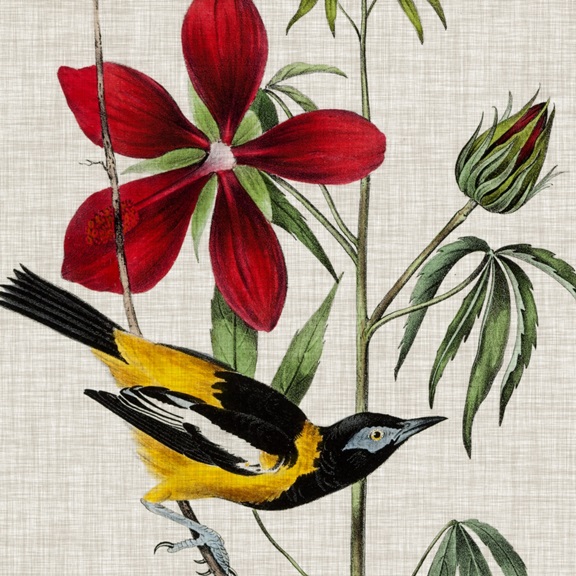 Bird Tapestry Variante 1 | 40x40 cm | Premium-Papier